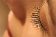 a woman's eyelid
